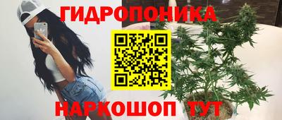 марки nbome Новозыбков